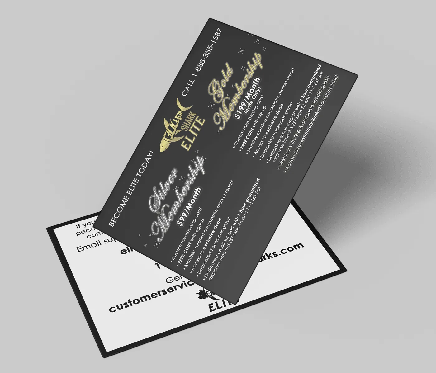 Two-sided membership flyer, the charcoal face setting out silver and gold tiers with their monthly price and benefits, the reverse carrying support details